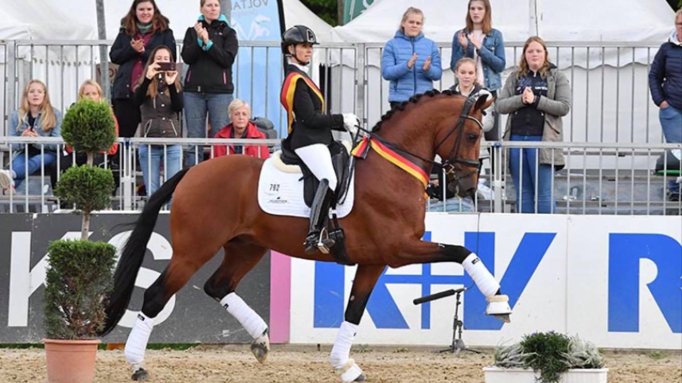 Sam Duckworth Dressage